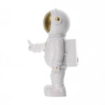 Рост Титов: История советского космонавта