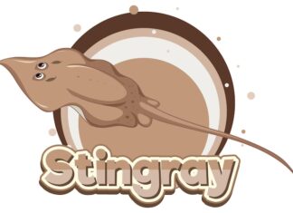 Скат: значение и символика