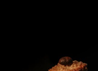 Мягкое печенье на майонезе: быстрый рецепт в духовке