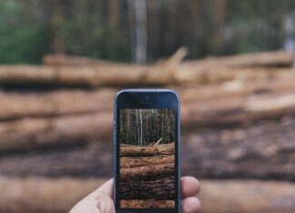 Поиск и загрузка картинок в Яндексе с телефона