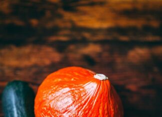 Баклажан и кабачок: секреты выращивания