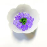 Шалфей с молоком: рецепт и польза