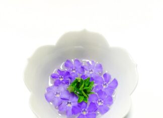 Шалфей с молоком: рецепт и польза