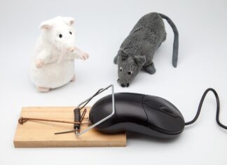 Мишины дразнилки: веселье и шутки