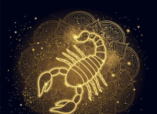 Скорпионы: Имена и их значение