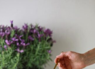 Творожная запеканка в духовке с манкой и сметаной