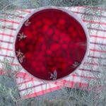 Калина красная: рецепты домашнего приготовления