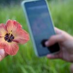 Очистка браузера на Samsung Galaxy Android