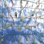 Тайна Повешенного: 6 жезлов