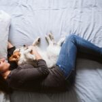 Сон с котом: успокоение или беспокойство?