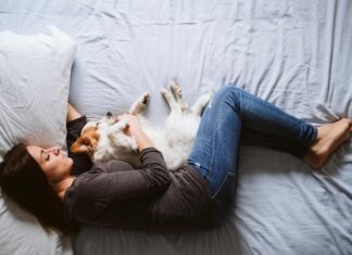 Сон с котом: успокоение или беспокойство?