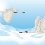 Символизм журавлей в культуре и мифологии