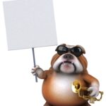 Клички для собак: смешные и оригинальные идеи