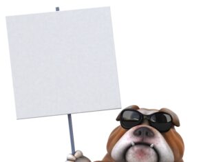 Клички для собак: смешные и оригинальные идеи