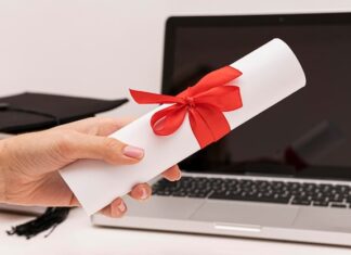 Как узнать номер сертификата ПФДО через Госуслуги