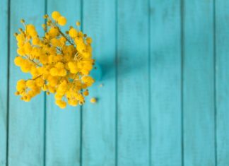 Сны о желтых цветах