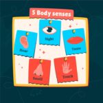 Игра «Угадай кто я» на карточках