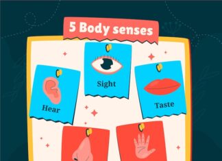 Игра «Угадай кто я» на карточках