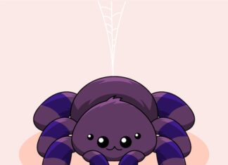 Паук — символ паутины жизни