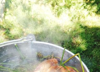 Уха из речной рыбы на костре в казане