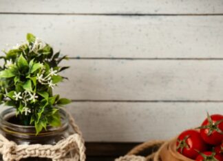 Рецепт Хачапури с сыром на молоке на сковороде