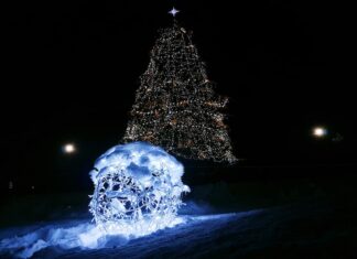 Созвездие Рождественской Елки: Дома Звездного Скопления