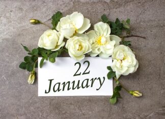 31 год вместе: символ любви и верности