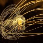 Источники энергии электрического тока: золотые правила