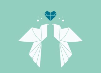 Значение подвески крыло в авиации