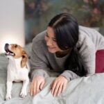 Видеть во сне блох на собаке: толкование сна