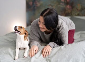 Видеть во сне блох на собаке: толкование сна