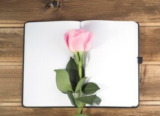 Красивые стихи о счастье: короткие, но полные смысла