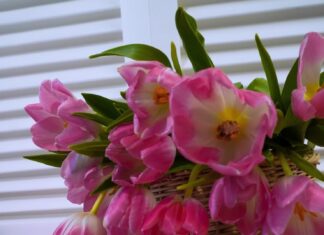 Поздравление с днем рождения коллеге-женщине в прозе