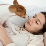 Сонник: собака обнимает — толкование сна