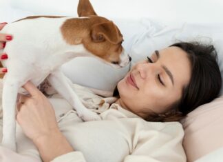 Сонник: собака обнимает — толкование сна