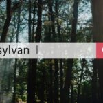 Как узнать, кто смотрел запись на странице ВК