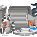 Толкование снов: мусорное ведро