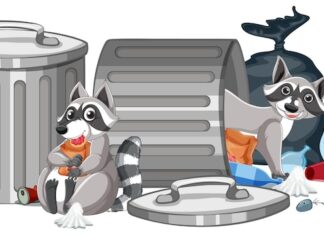 Толкование снов: мусорное ведро