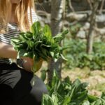 Видеть во сне грядки с зеленью на огороде