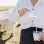 Молоко в ведре во сне: значение для женщин