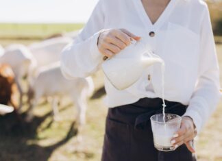 Молоко в ведре во сне: значение для женщин