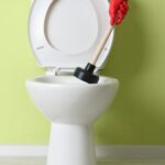 Толкование сна: засоренный унитаз