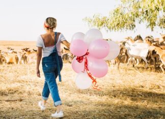 Коровы во сне: толкование для женщин