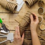 Создание Эдиты: Пошаговое Руководство