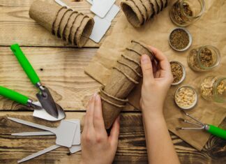 Создание Эдиты: Пошаговое Руководство