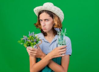 Снится тюрьма: толкование сна