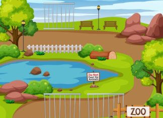 Столбище: где находится и что это такое