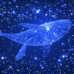 Созвездие Кита на звездной карте