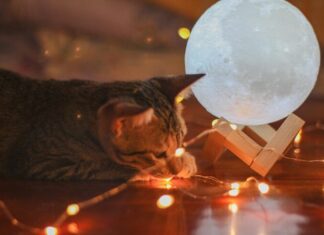 Заголовок: «Что пожелать вместо спокойной ночи»