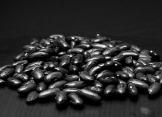 Черные бобы: польза и вред, рецепты